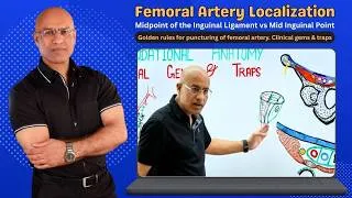 Thumbnail: Femoral Artery Localization | Lower Limb Anatomy | Human Anatomy