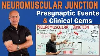 Thumbnail: Neuromuscular Junction | NMJ | Clinical Correlation