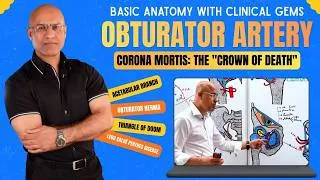 Thumbnail: Obturator Artery | Corona Mortis | Anatomy, Branches & Clinical Significance
