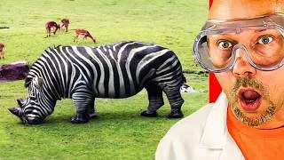 Thumbnail: The Strangest Hybrids Animals Caught on Camera