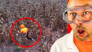 Thumbnail: The Craziest Photos That Can Scare Anyone
