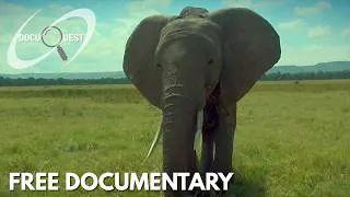 Thumbnail: The Story Behind Earth’s Greatest Landscapes | FREE DOCUMENTARY