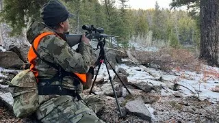 Thumbnail: Life as an elk guide Ep. 3 (Elk down in camp)