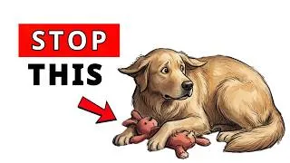 Thumbnail: STOP Doing These 6 Things — You’re Rejecting Your Dog’s Love