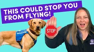 Thumbnail: Service Dog Handlers: DON’T Make This Mistake When Flying