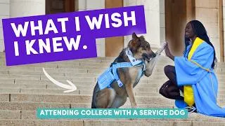 Thumbnail: Best Tips for Attending College with a Service Dog