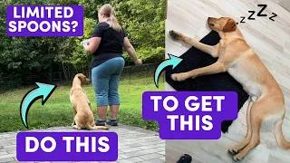 Thumbnail: How To Tire Your Dog Out When You're Not Feeling Well