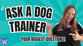 Thumbnail: Service Dog Trainer Answers Your Questions!