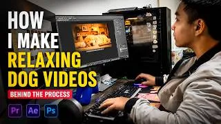 Thumbnail: Take a Look Behind the Scenes: Creating Everyday Videos for Dog Music Relaxing Channel