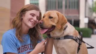 Thumbnail: Smart Dogs, Smart Choice.