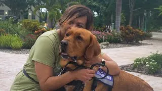 Thumbnail: Why Choose a Service Dog From Us