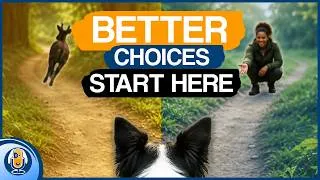 Thumbnail: This Or That’s: Your Dog’s Decision-Making Blueprint #332 #podcast
