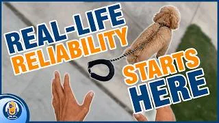 Thumbnail: This Or That's: Why Most Dogs Never Become Decision-Makers #331 #podcast
