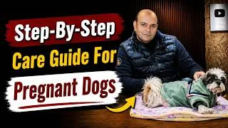 Thumbnail: अपनी Pregnant Dog की Care कैसे करें❓ 🐶 Complete Pregnancy Guide By Baadal Bhandaari