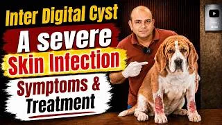 Thumbnail: अपने Dog को Skin Infections से कैसे बचाएं 🛡️🐾 Complete Guide By Baadal Bhandaari