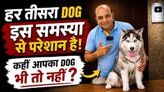 Thumbnail: हर तीसरा Dog इस समस्या से परेशान है❗कही आपका Dog भी तो नहीं❓