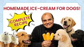 Thumbnail: Homemade Ice Cream For Dogs - Complete Recipe By Baadal Bhandaari