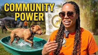 Thumbnail: American Pitbull Community Going Strong