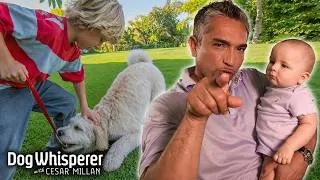 Thumbnail: Cesar Helps Dogs Coexist With Kids & Babies | Season 5 Episodes 9&10