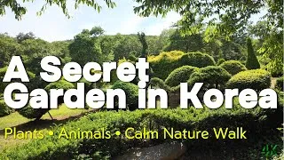 Thumbnail: A Hidden Botanical Garden in Korea  Nature Walk with Animals (4K)