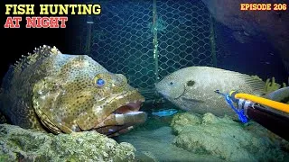 Thumbnail: NIGHT SPEARFISHING EP206 | FISH HUNTING AT NIGHT