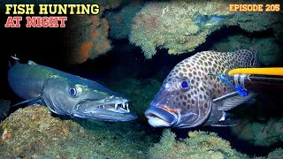 Thumbnail: Ep205 NIGHT SPEARFISHING | FISH HUNTING AT NIGHT