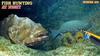 Thumbnail: Ep203 NIGHT SPEARFISHING | FISH HUNTING AT NIGHT