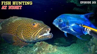 Thumbnail: Ep202 NIGHT SPEARFISHING | FISH HUNTING AT NIGHT 