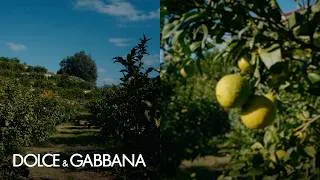 Thumbnail: #DGFattoAMano: Dolce&Gabbana for Capua 1880