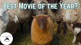 Thumbnail: The Sheep Detectives is Perfect