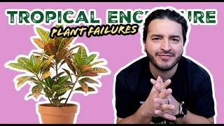 Thumbnail: Don't Use These Plants in Your Reptile Enclosure!