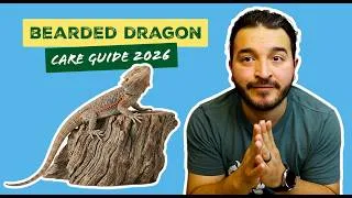 Thumbnail: Bearded Dragon Care Guide: Everything You Need to Know (2026)