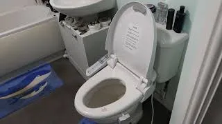 Thumbnail: the perfect toilet super clean