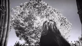 Thumbnail: DOMINION - " Within These Walls " | OFFICIAL MUSIC VIDEO