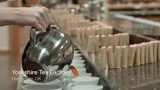 Thumbnail: Largest biscuit domino topple - 5,000 Biscuit Domino Rally