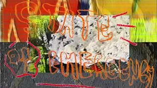 Thumbnail: Lee "Scratch" Perry & Mouse On Mars - State Of Emergency (Official Visualiser)