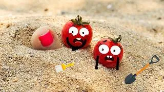 Thumbnail: Doodland Adventures: The Ultimate Mystery Toe Beach Find! 🏖️🍅😲