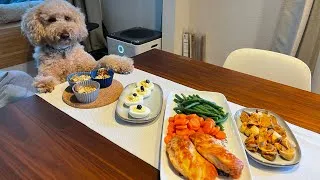 Thumbnail: Dog Friendly Thanksgiving Meal 🦃 // f1b mini goldendoodle // dog friendly recipes