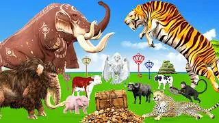 Thumbnail: The Secret Treasure Box Game With 3D Animals Giant Tiger Wise Elephant Cow Cartoon