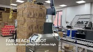 Thumbnail: Cobot Palletizer | PalletizHD | Doosan Robotics | ONExia Solutions