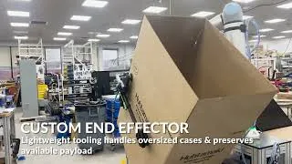 Thumbnail: Robotic Case Erector | Oversized Box Forming | Collaborative Robots | ONExia Inc.
