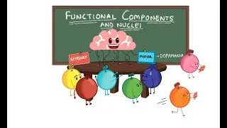 Thumbnail: FUNCTIONAL COMPONENTS || NUCLEI OF ALL CRANIAL NERVES || NEUROANATOMY BASICS