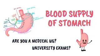 Thumbnail: BLOOD SUPPLY OF STOMACH || WELCOME TO DOPAMANIA!