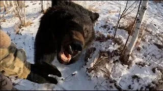 Thumbnail: Bear attack man in forest