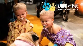 Thumbnail: ANNOUNCEMENT: Doug The Pug Foundation
