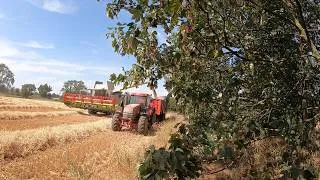 Thumbnail: 2026 Cereal  Harvest Finished #agriculture #farming #farmer