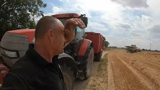 Thumbnail: Only Average Yields @ Dove Farms #farming #agriculture #farm