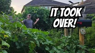 Thumbnail: 🌿 September Garden Tour: Summer Isn’t Done Yet!