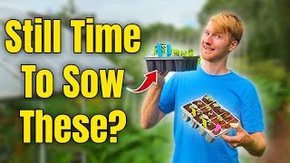 Thumbnail: It’s Not Too Late! What You Can STILL Sow in July