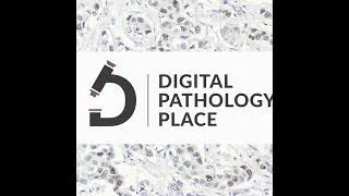 Thumbnail: 243: Why AI Still Hasn't Revolutionized Drug Discovery (Yet) | Thibault Geoui, PhD